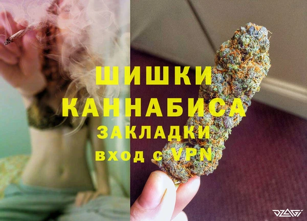 PSILOCYBIN Абаза