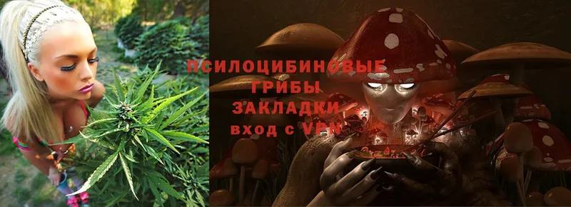 Псилоцибиновые грибы Psilocybine cubensis  продажа наркотиков  Благодарный 